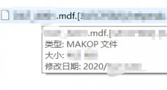 杭州某公司服务器中了makop后缀勒索病毒，SQL数据库修复成功